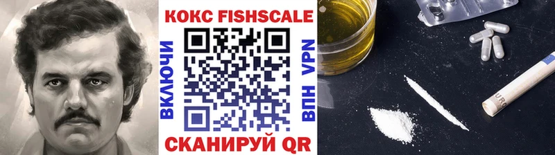 купить цена Тейково COCAIN FishScale