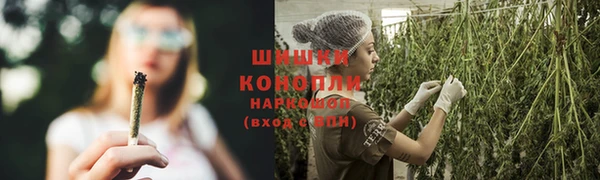 стаф Аркадак