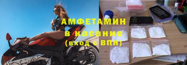 стаф Аркадак