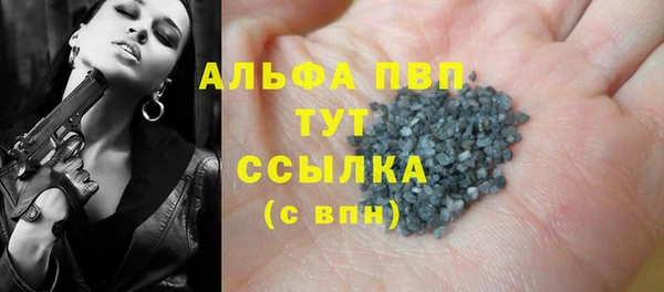 шишки Арсеньев