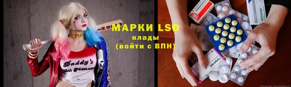 стаф Аркадак