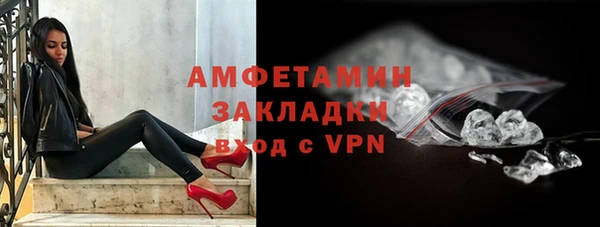шишки Арсеньев