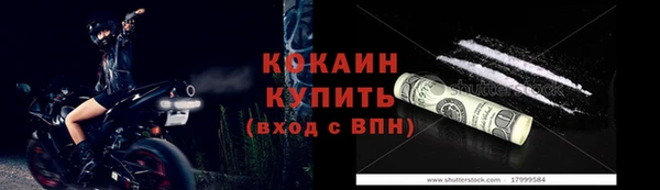стаф Аркадак
