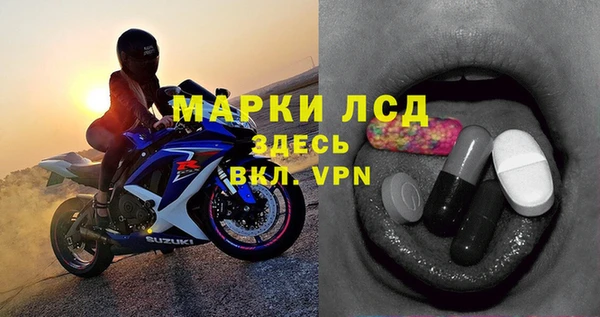 стаф Аркадак