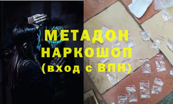 шишки Арсеньев