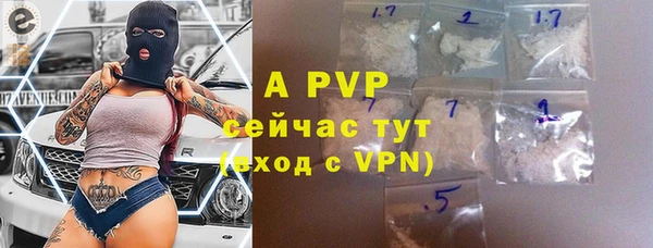 шишки Арсеньев