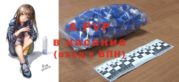 шишки Арсеньев