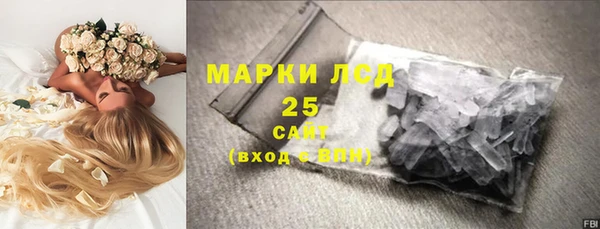 шишки Арсеньев