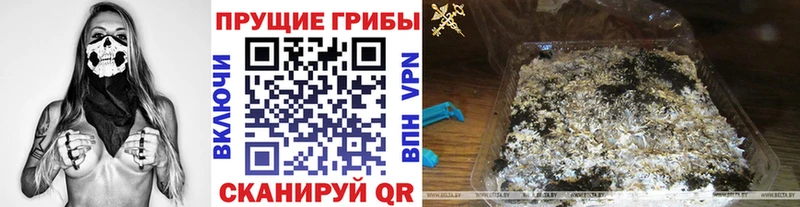 купить  сайты  omg ссылка  Галлюциногенные грибы ЛСД  Тейково 